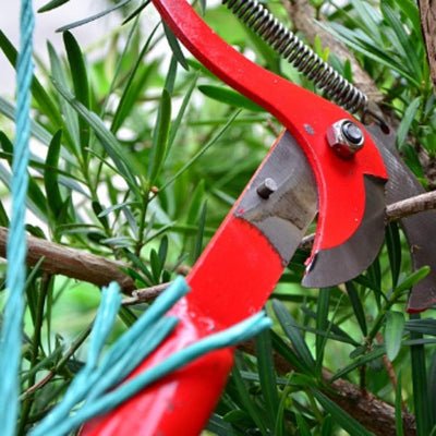 Coupe Branche Télescopique - BranchCutter™ - Une Roue Rouge - Maison Rangement Jardin