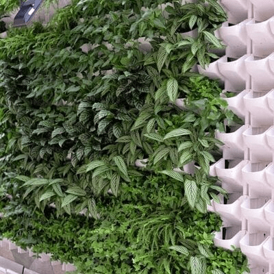 Jardinière Murale - GardenWallPlanter™ - Blanc - Maison Rangement Jardin