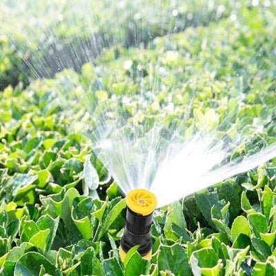 Arroseur automatique - AutomaticLawn™ - Jaune - Maison Rangement Jardin