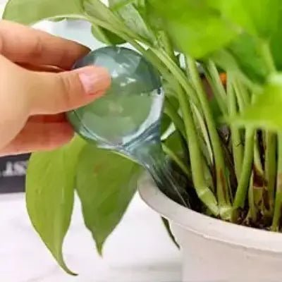 Arrosage goutte à goutte - PlantWaterFeeder™ - Transparent - Maison Rangement Jardin