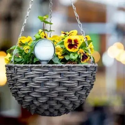 Arrosage goutte à goutte - PlantWaterFeeder™ - Transparent - Maison Rangement Jardin