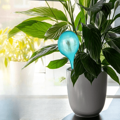 Arrosage goutte à goutte - PlantWaterFeeder™ - Vert - Maison Rangement Jardin